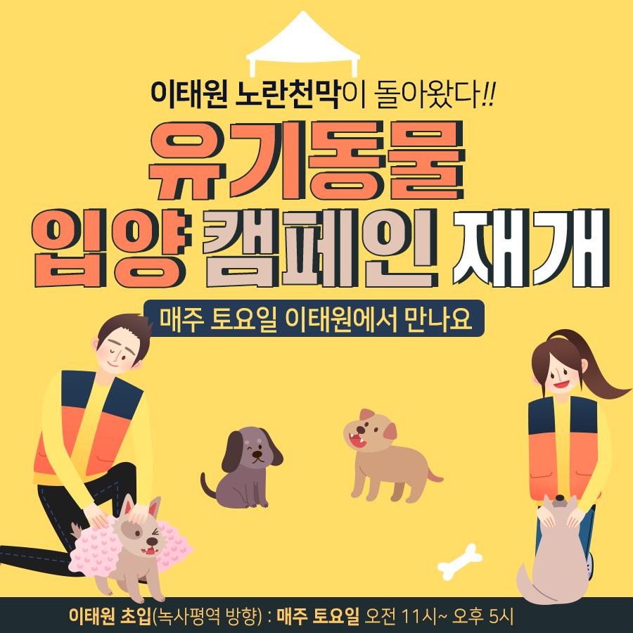 유기동물-캠페인-재개(이태원).png.jpg