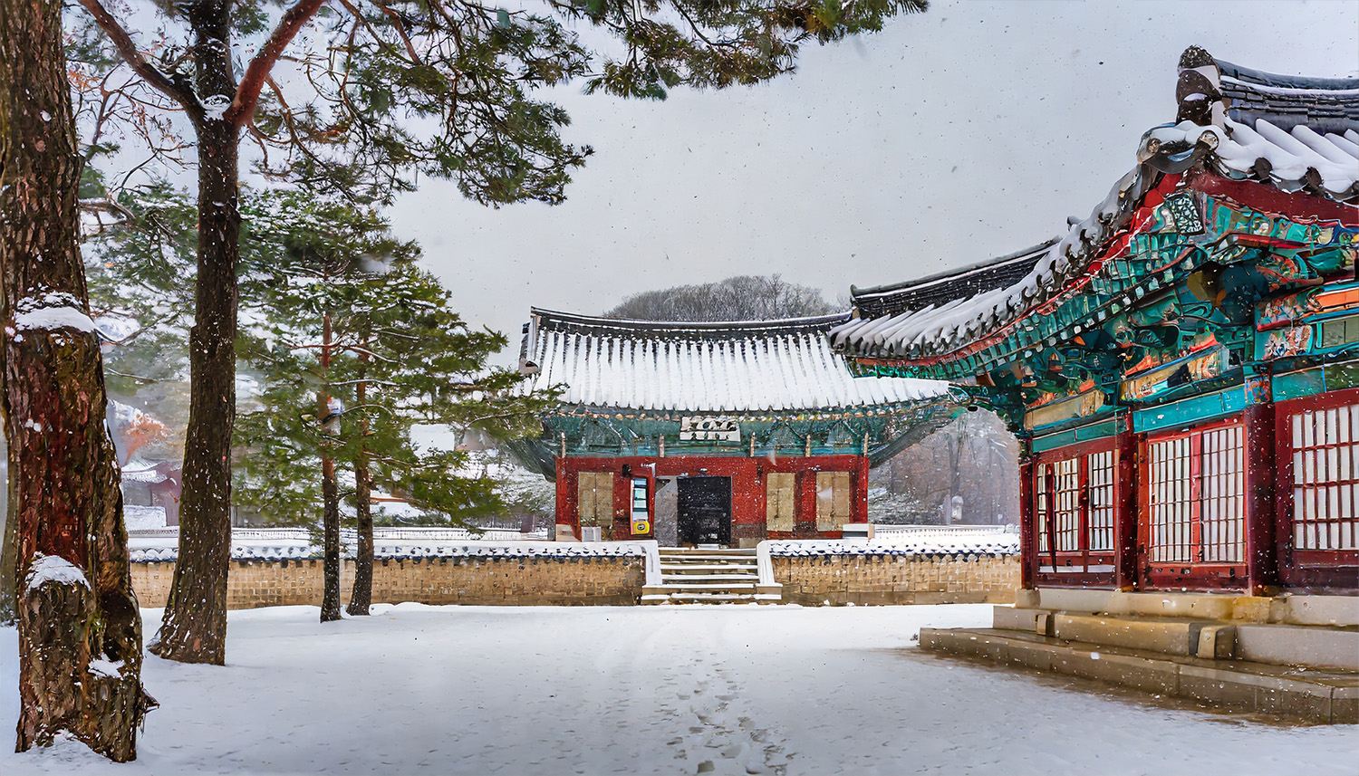 Things to do in korea winter 9.jpg