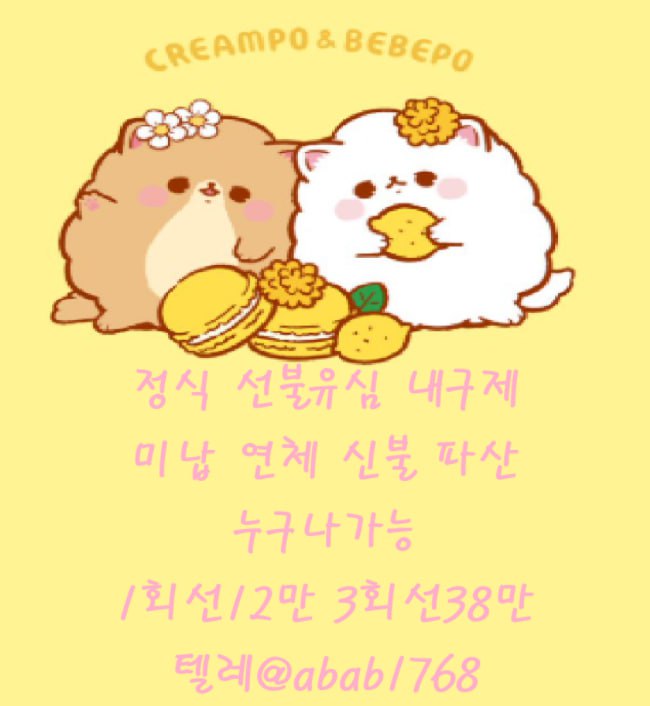 선불유심내구제 유심내구제 내구제 고액알바 당일대출 당일급전 비대면대출 비대면급전 소액결제 상조내구제 가전내구제 급전 일수 달돈 (54).jpg